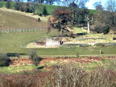 
Llanbradach Fawr,  March 2014