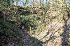 
Coed-y-Brain Quarries, Llanbradach, March 2014