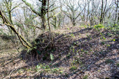 
Coed-y-Brain Quarries, Llanbradach, March 2014