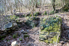 
Coed-y-Brain Quarries, Llanbradach, March 2014