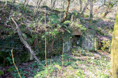 
Coed-y-Brain Quarries, Llanbradach, March 2014