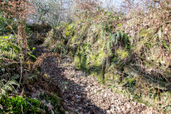 
Coed-y-Brain Quarries, Llanbradach, March 2014