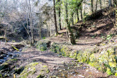 
Coed-y-Brain Quarries, Llanbradach, March 2014