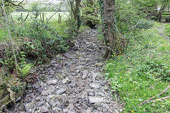 
Leat from Tophill tramway to Llancaiach Colliery, April 2017