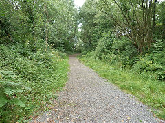 
B&MR to TVER connecting line trackbed, Maes-y-cwmmer, August 2011