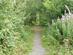 
B&MR to TVER connecting line trackbed, Maes-y-cwmmer, August 2011