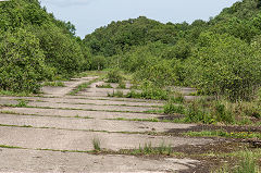 
Barry Railway sidings, Penrhos Junction, Caerphilly, June 2015