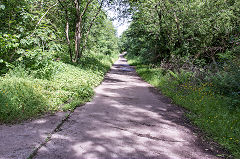 
Barry Railway trackbed, Penrhos Junction, Caerphilly, June 2015