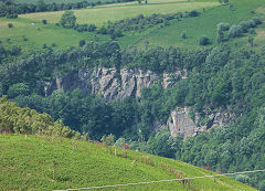 Pwll-y-pant Quarry, Caerphilly, June 2011