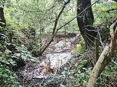 
Tir-y-berth drainage levels, August 2021