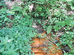 Tir-y-berth drainage levels, August 2021