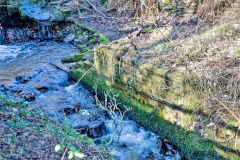 
Ystrad Mynach mill leat, March 2014