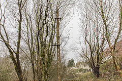Deri Station signal post, January 2015