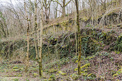 Wingfield Colliery screens and sidings, January 2015