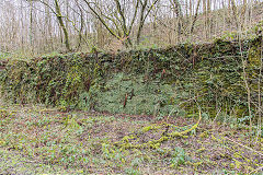 Wingfield Colliery screens and sidings, January 2015