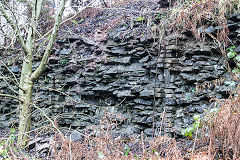 Darran Colliery screens on the BMR, December 2016