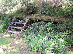 
BMR Groes-faen Colliery platform, August 2010