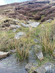 
Lloyds or Quarry Level, Abertysswg,  © Photo courtesy of Stephen James