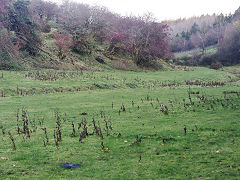 The original Tredegar Tramroad, November 2023