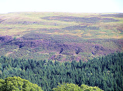 
Small c1920s levels to the East of Pentwyn at SO 1130 0440, August 2010