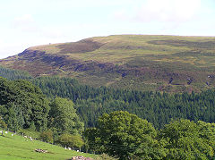 Small c1920s levels to the East of Pentwyn at SO 1130 0440, August 2010