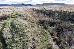 Rhaslas Houses Quarry, November 2018