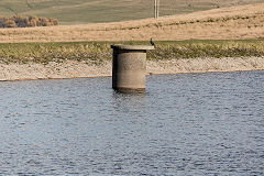Rhaslas Pond Outtake pipe, November 2018
