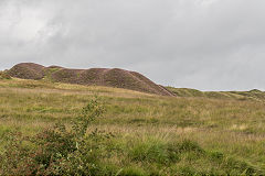 
Tips on Bryn Pyllog, a very over-worked area, August 2017