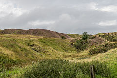 Tips on Bryn Pyllog, a very over-worked area, August 2017