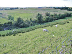 
The original Tredegar Tramroad, July 2021