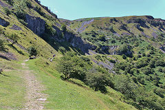 Chwar Mawr Tramroad, Llangattock, July 2020