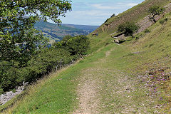 
Chwar Mawr Tramroad, Llangattock, July 2020