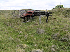 
Coed Cae Mawr screens, Clydach Gorge, August 2010