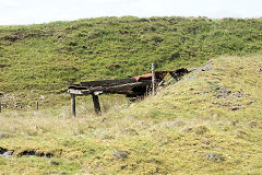 
Coed Cae Mawr screens, Clydach Gorge, August 2010