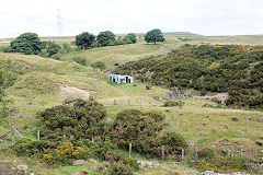 
Coed Cae Mawr, Clydach Gorge, August 2010