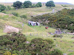 
Coed Cae Mawr, Clydach Gorge, August 2010