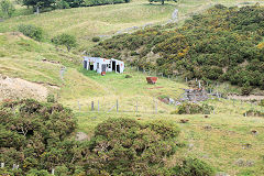 
Coed Cae Mawr, Clydach Gorge, August 2010