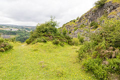 
Craig-y-Gaer Quarry, Clydach Gorge, July 2014