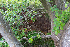 
Craig-y-gaer sewage tank, Clydach Gorge, July 2014