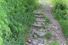 Tramroad sleepers near the incline head, Llangattock, July 2020