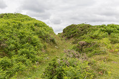 
Disgwylfa Quarries, Clydach Gorge, July 2014