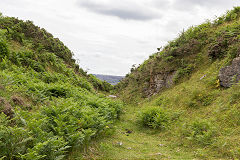 
Disgwylfa Quarries, Clydach Gorge, July 2014