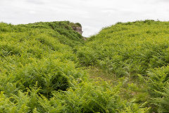 
Disgwylfa Quarries, Clydach Gorge, July 2014