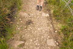 
Baileys Disgwylfa Tramroad, Clydach Gorge, July 2014