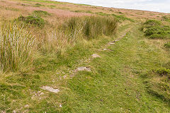 
Baileys Disgwylfa Tramroad, Clydach Gorge, July 2014