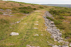 
Baileys Disgwylfa Tramroad, Clydach Gorge, July 2014