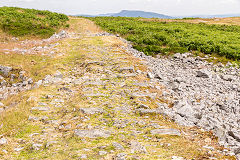 
Baileys Disgwylfa Tramroad, Clydach Gorge, July 2014