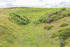 
Baileys Disgwylfa Tramroad, Clydach Gorge, July 2014