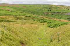 
Disgwylfa Tramroad to Daren Quarries, Clydach Gorge, July 2014