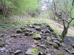 
Lower incline looking up, Llangattock, April 2010